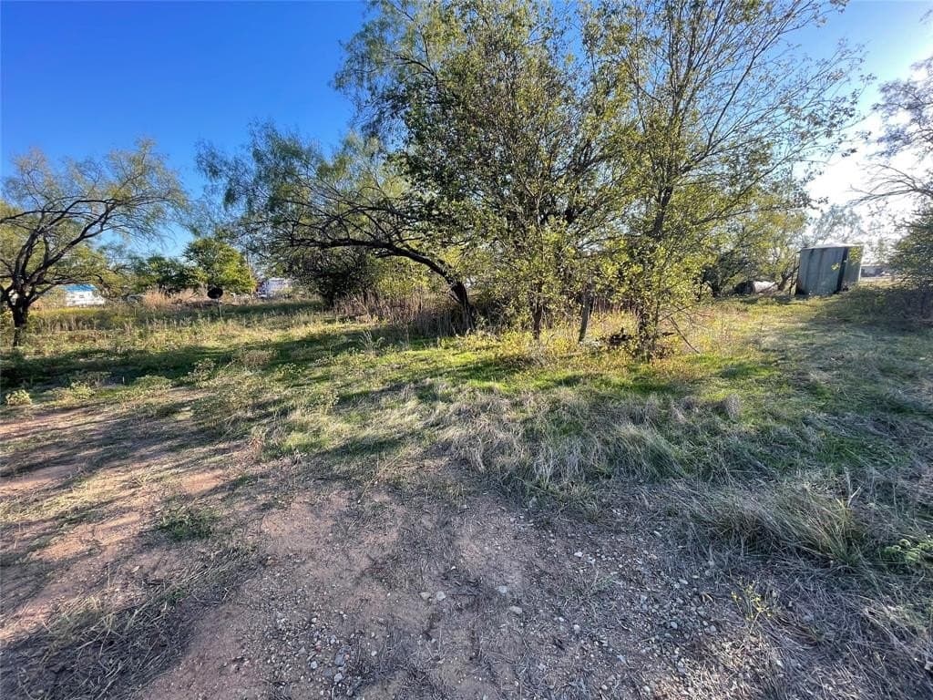 2.7 acres in Shackelford County - photo 6