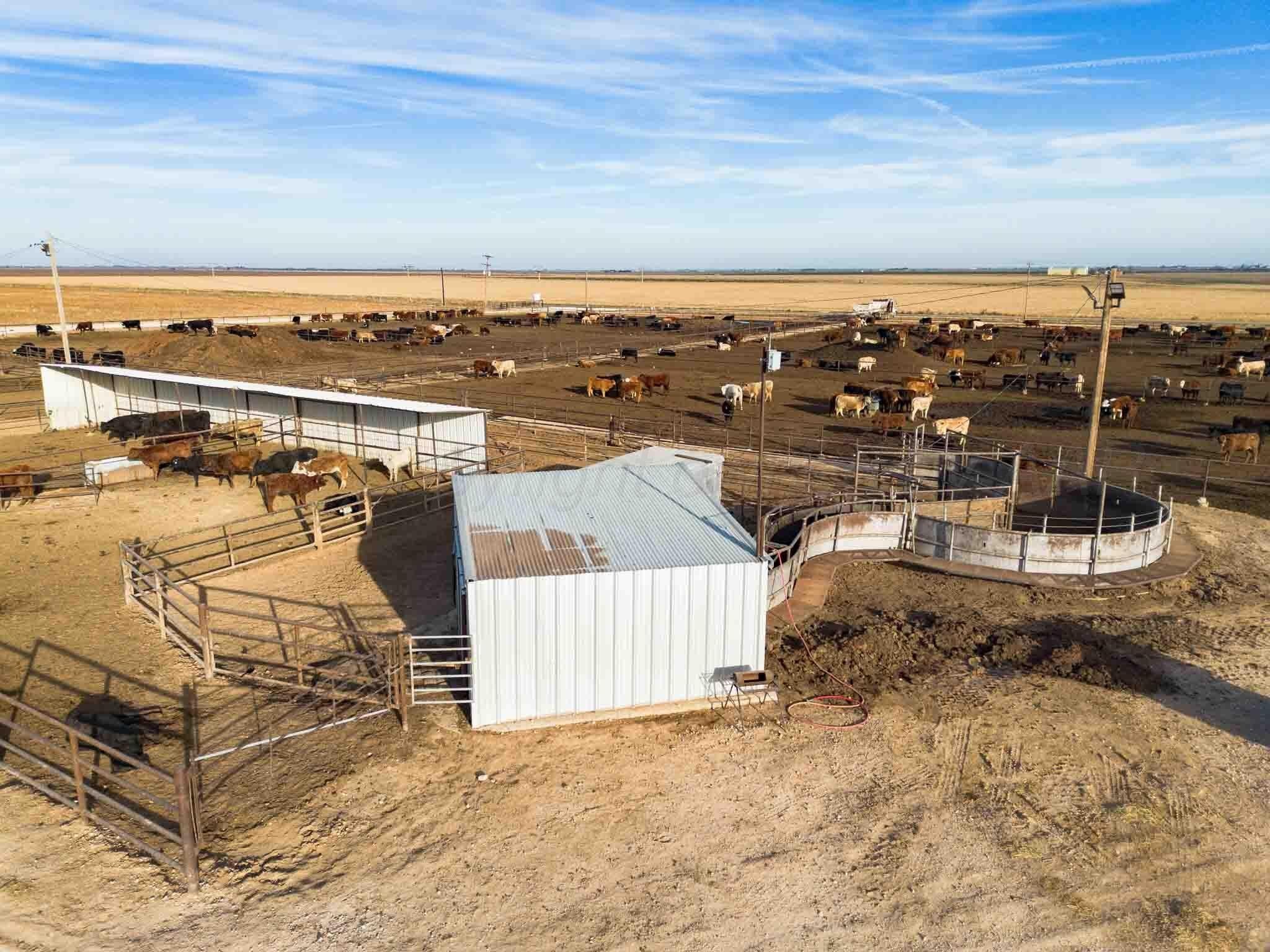 30 acres in Deaf Smith County - photo 22