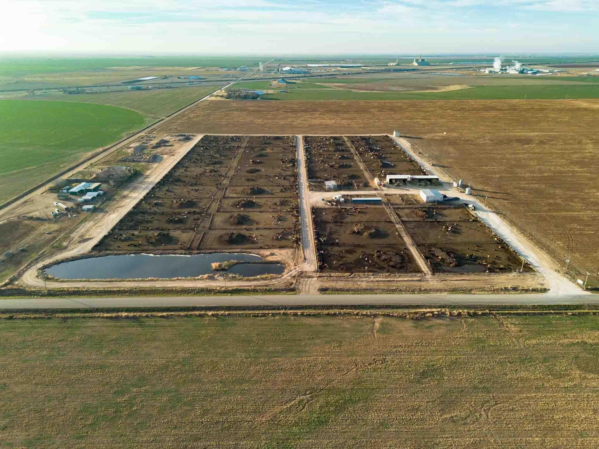 30 acres in Deaf Smith County - photo 2