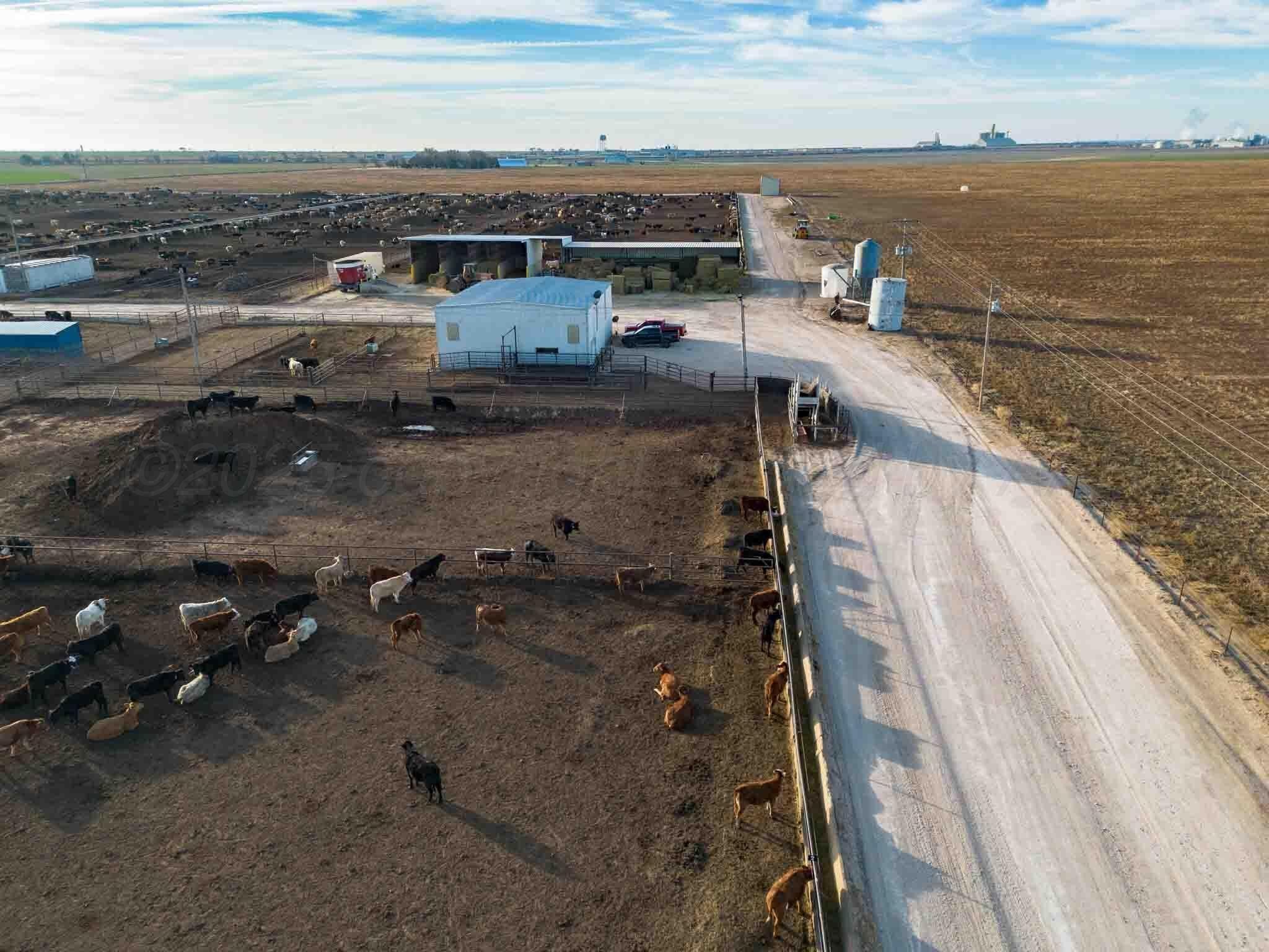 30 acres in Deaf Smith County - photo 11