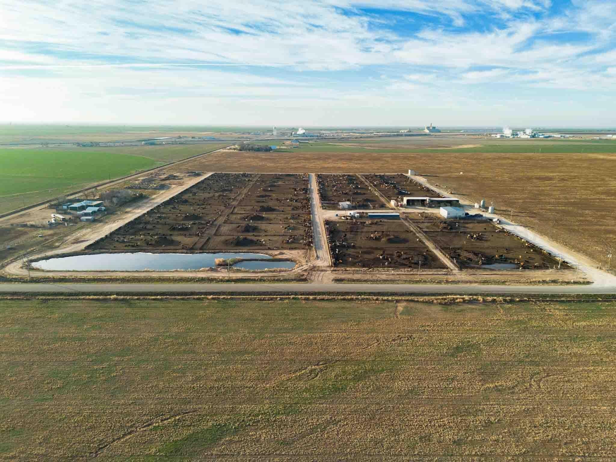 30 acres in Deaf Smith County - photo 3