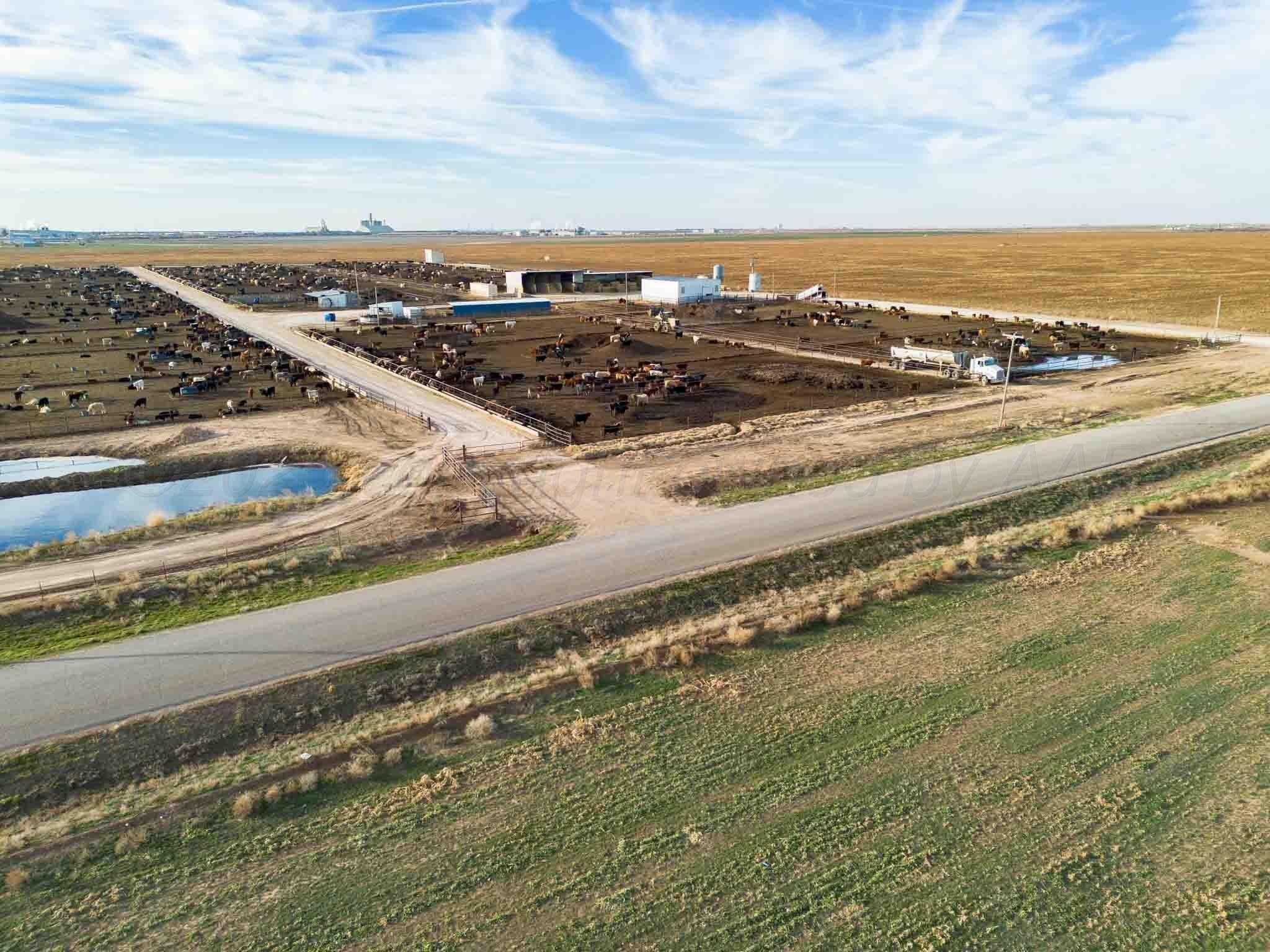 30 acres in Deaf Smith County - photo 23