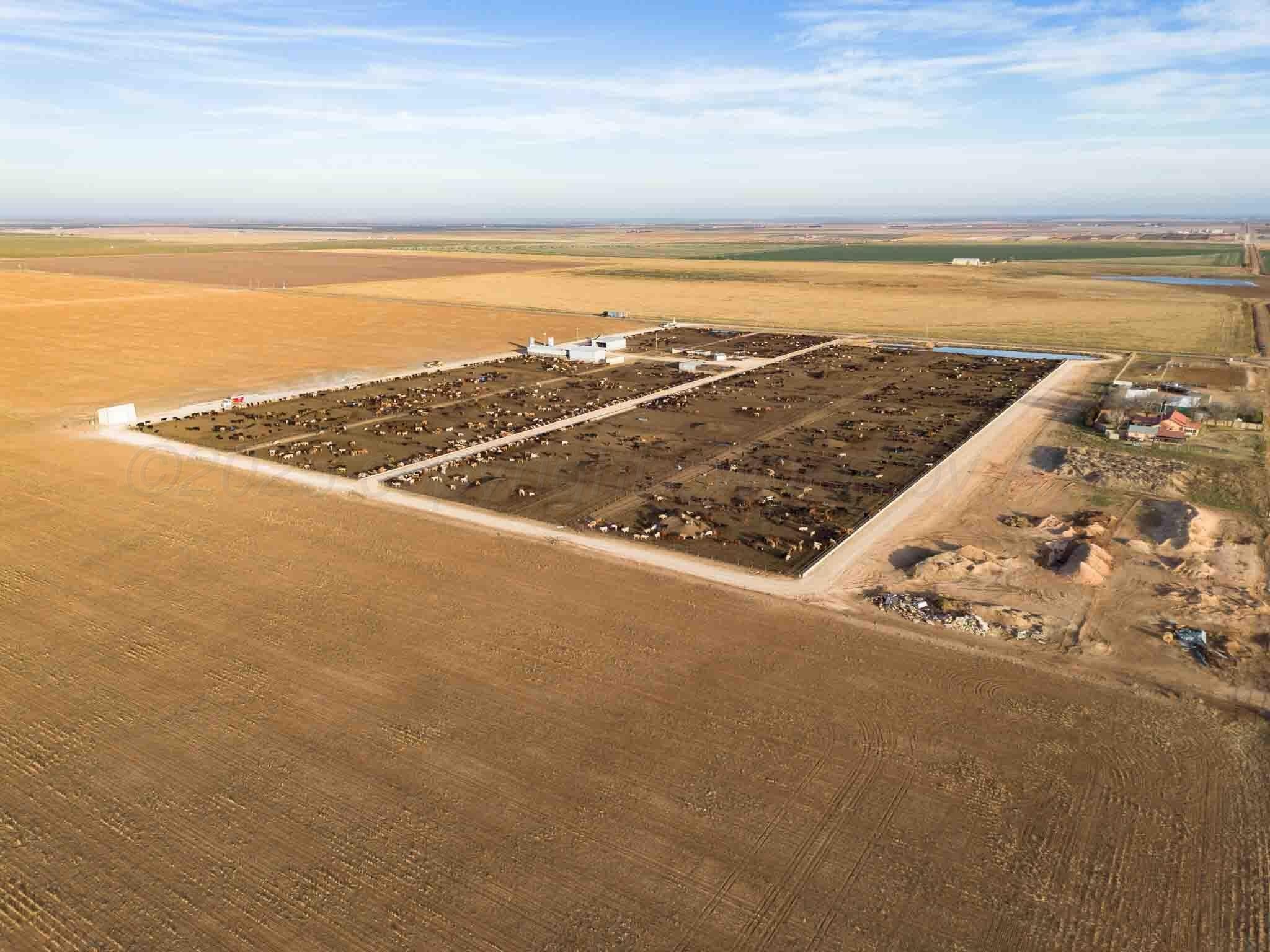 30 acres in Deaf Smith County - photo 7
