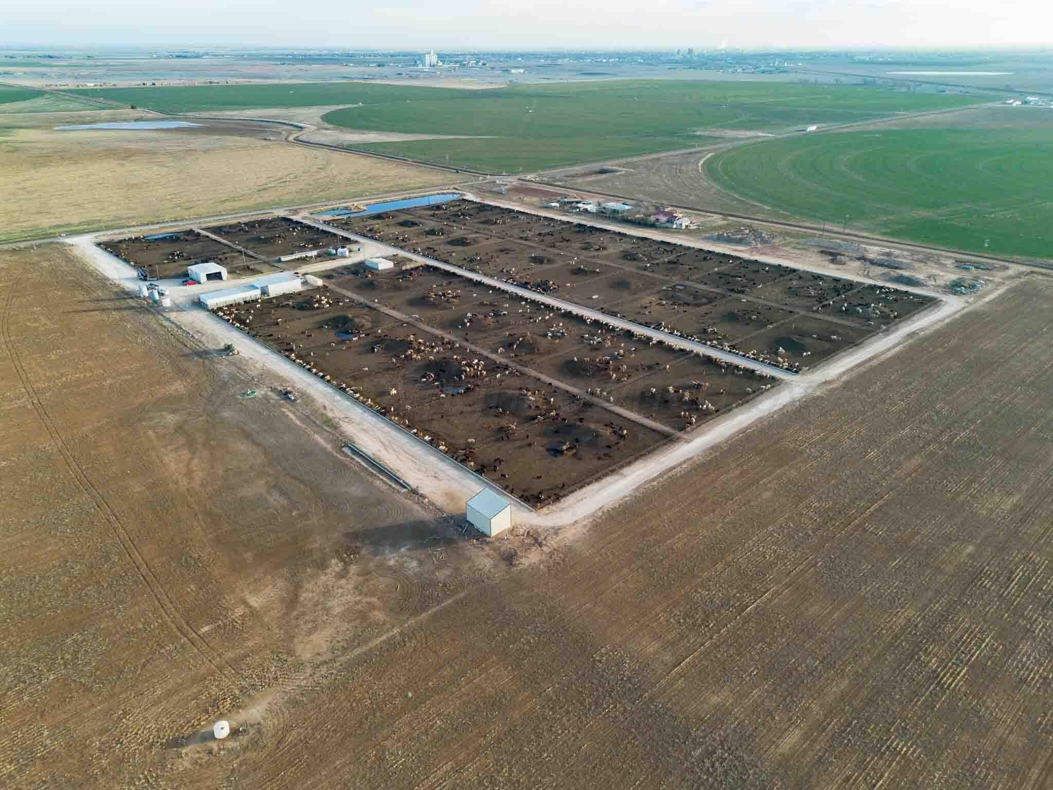30 acres in Deaf Smith County - photo 5
