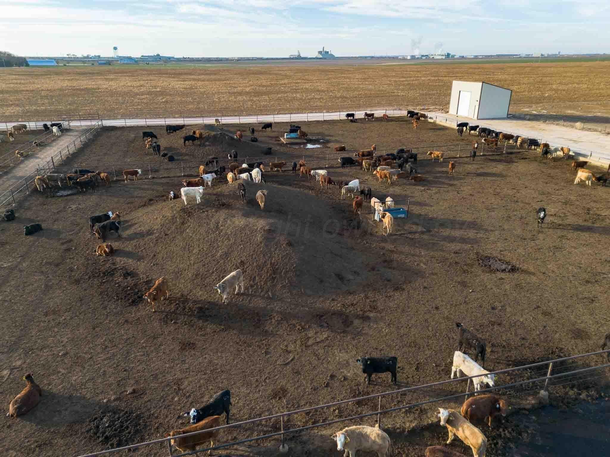 30 acres in Deaf Smith County - photo 12