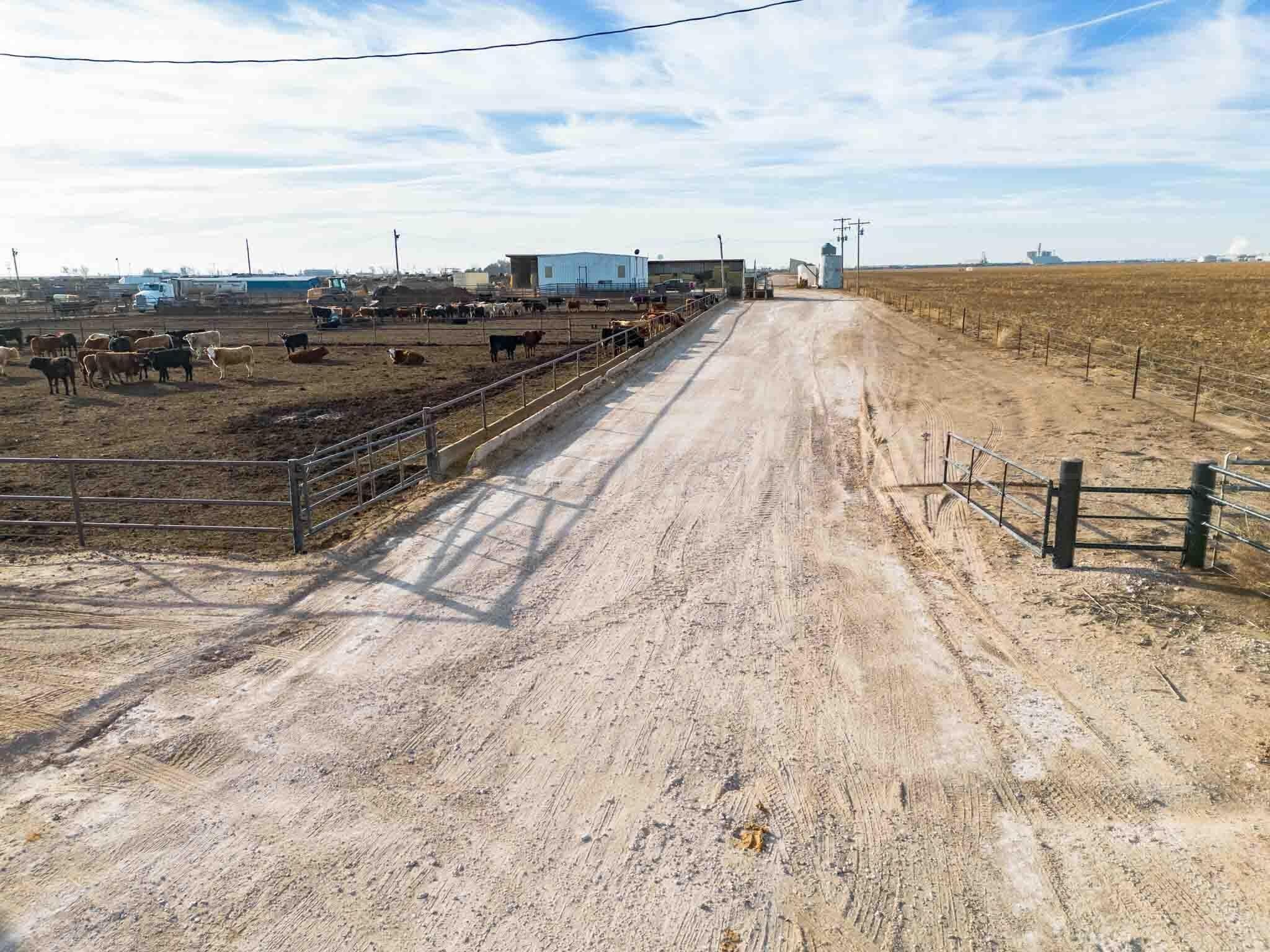 30 acres in Deaf Smith County - photo 25