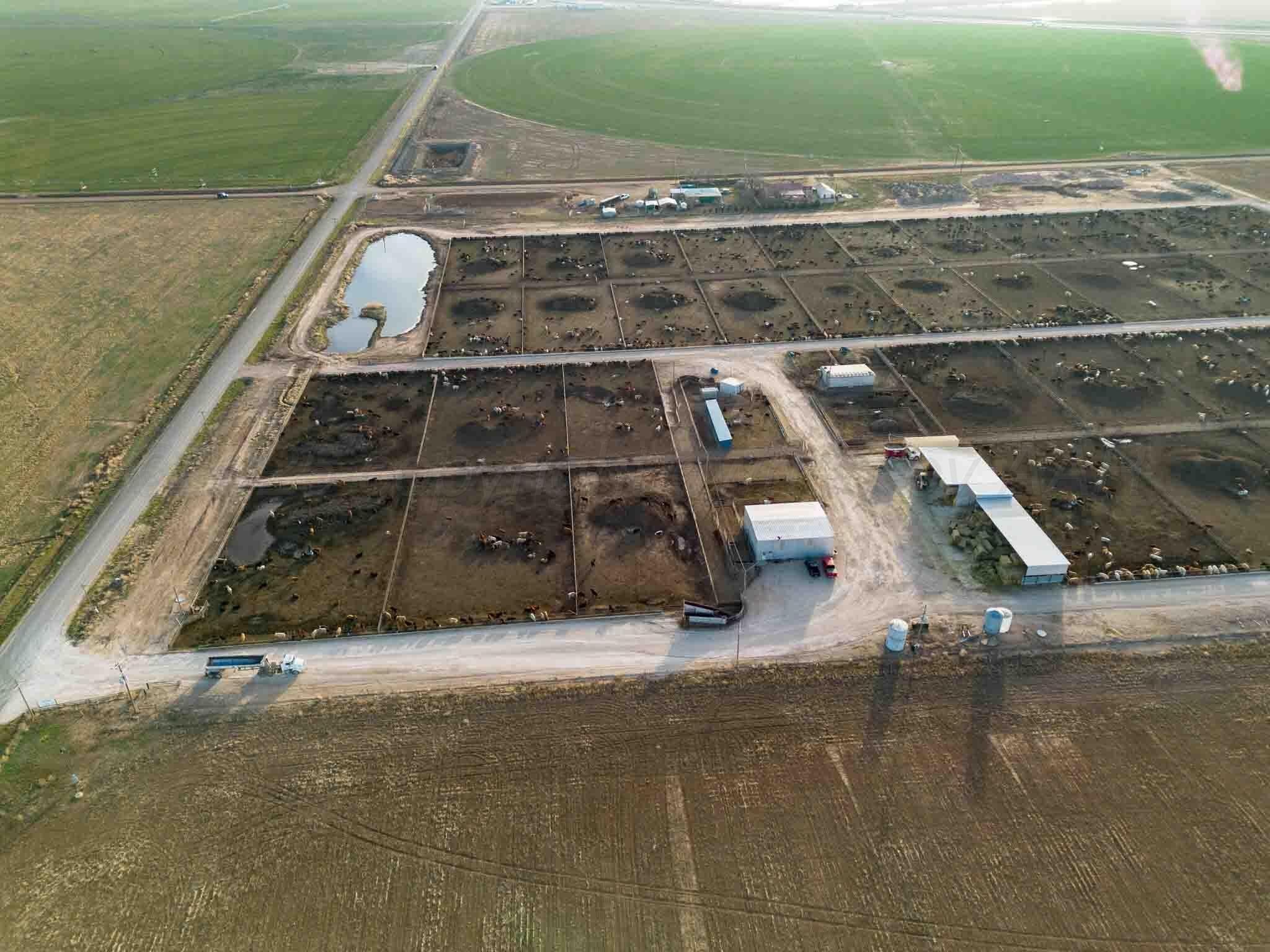 30 acres in Deaf Smith County - photo 4