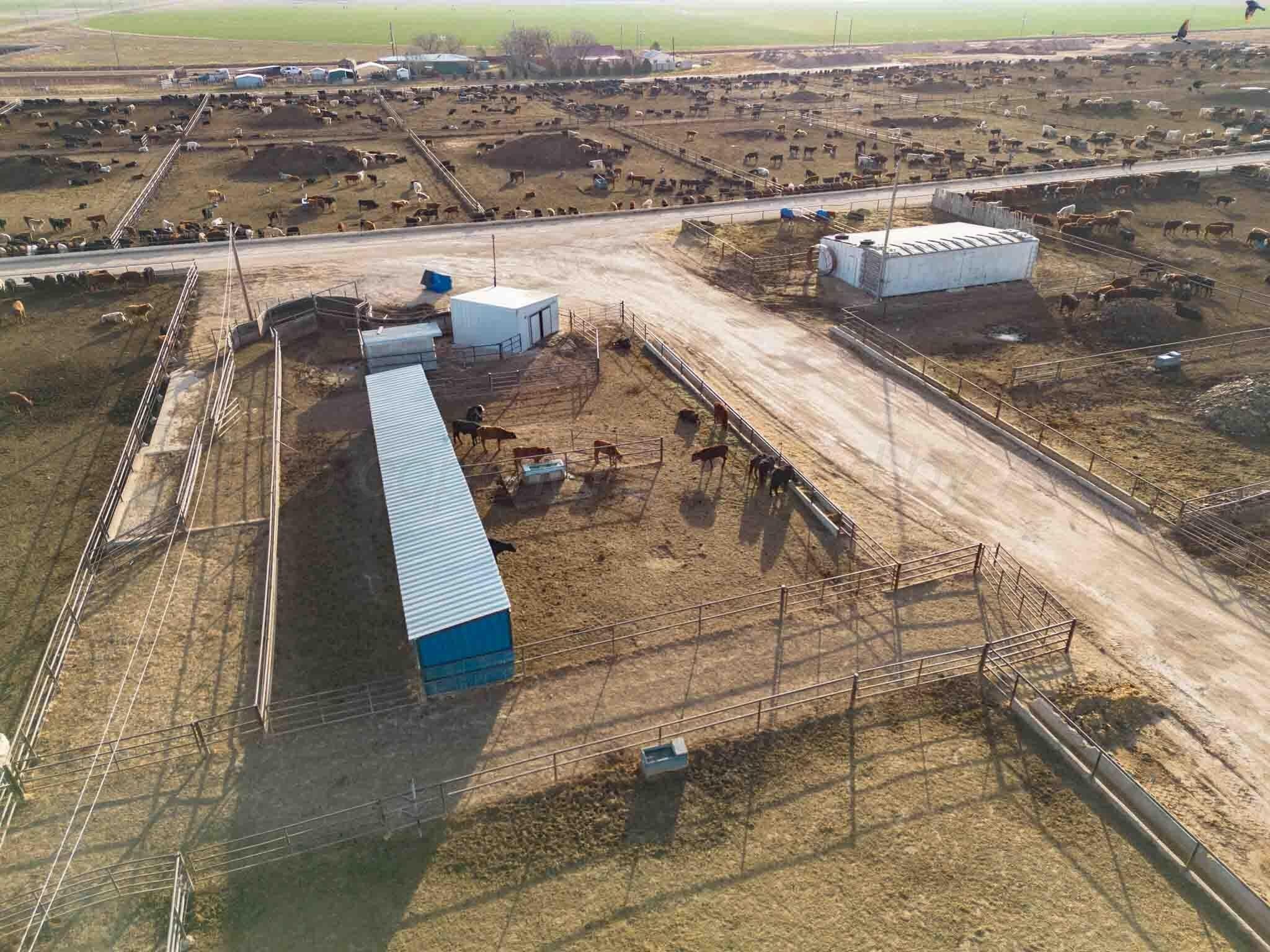30 acres in Deaf Smith County - photo 20