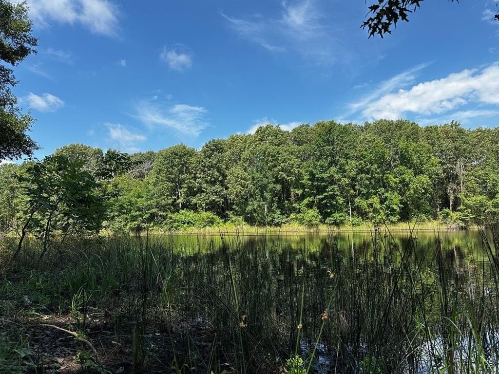 10.01 acres in Van Zandt County - photo 4