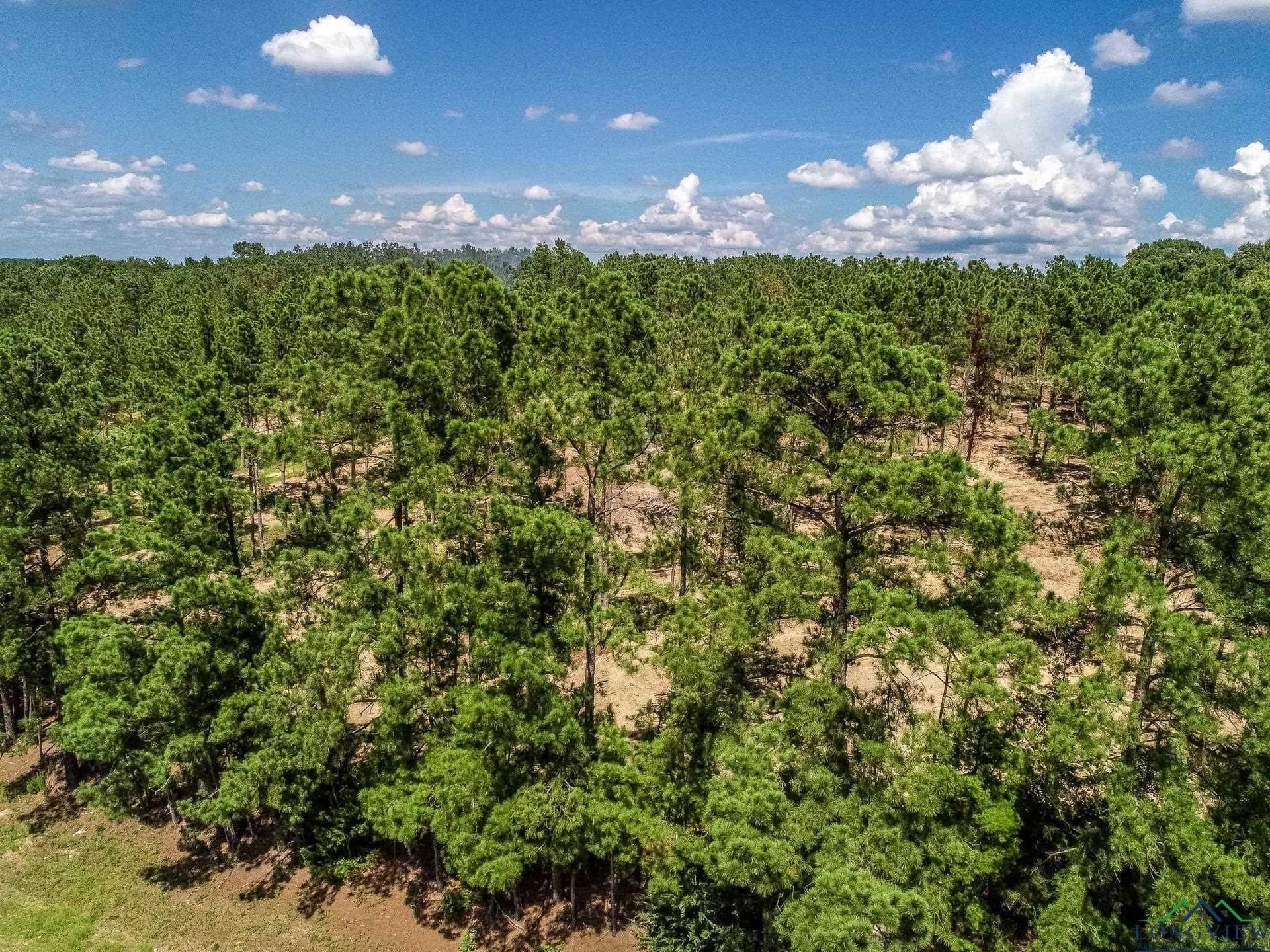 36.15 acres in Harrison County - photo 6