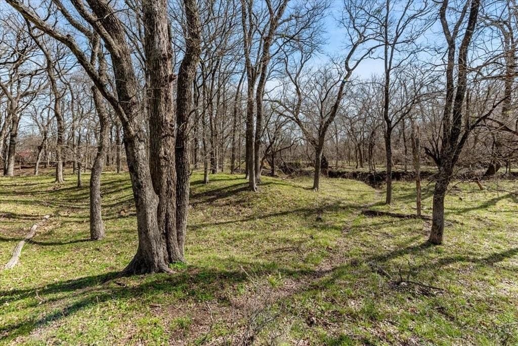 11 acres in Hill County - photo 14