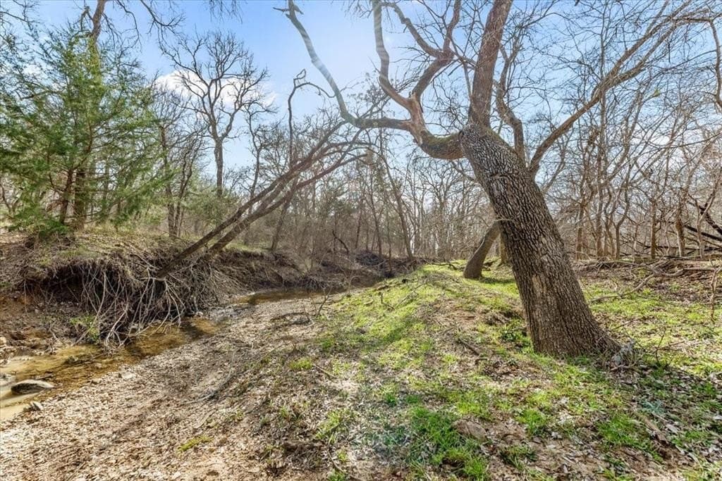 11 acres in Hill County - photo 27