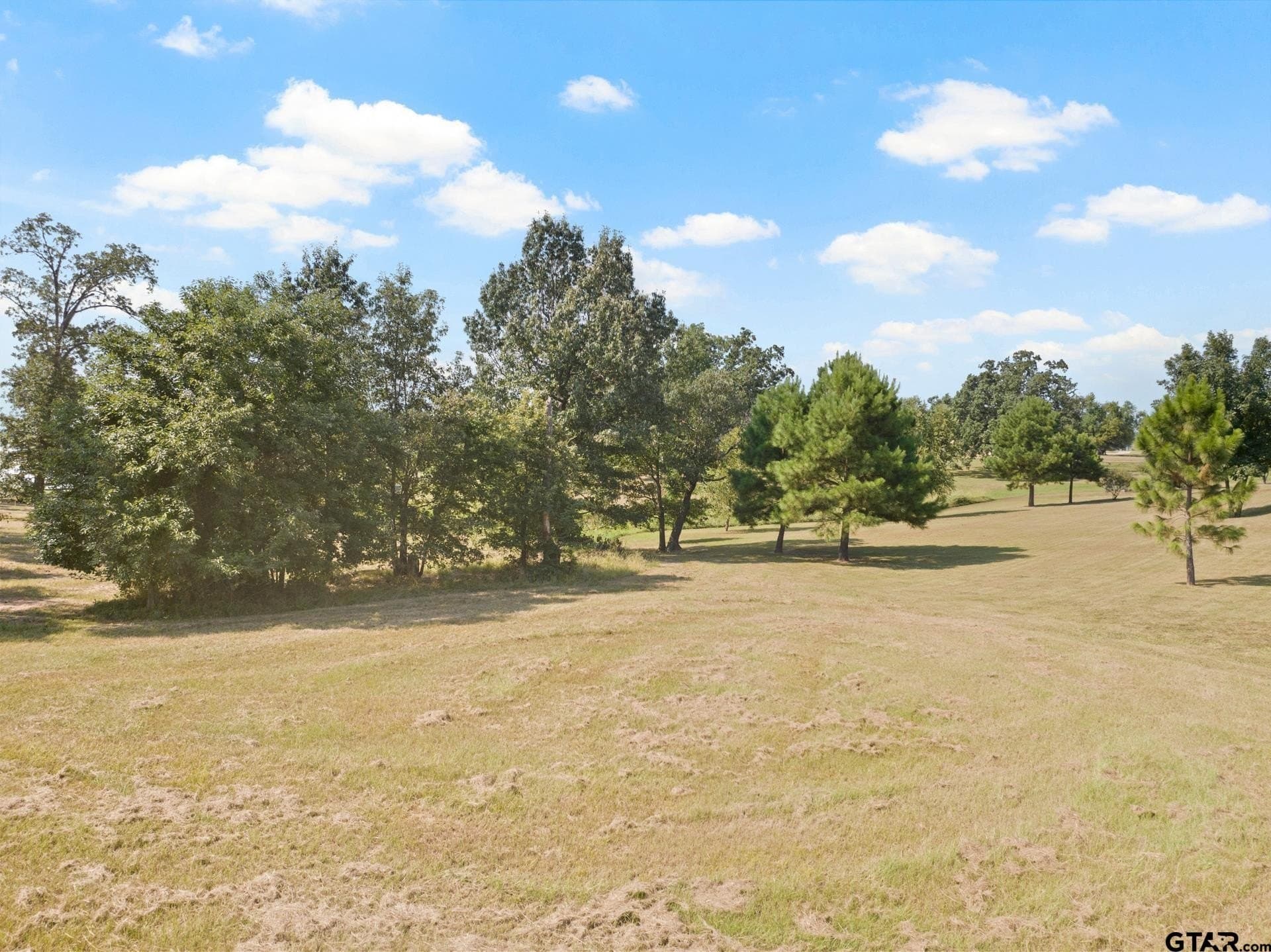 1 acres in Titus County - photo 5