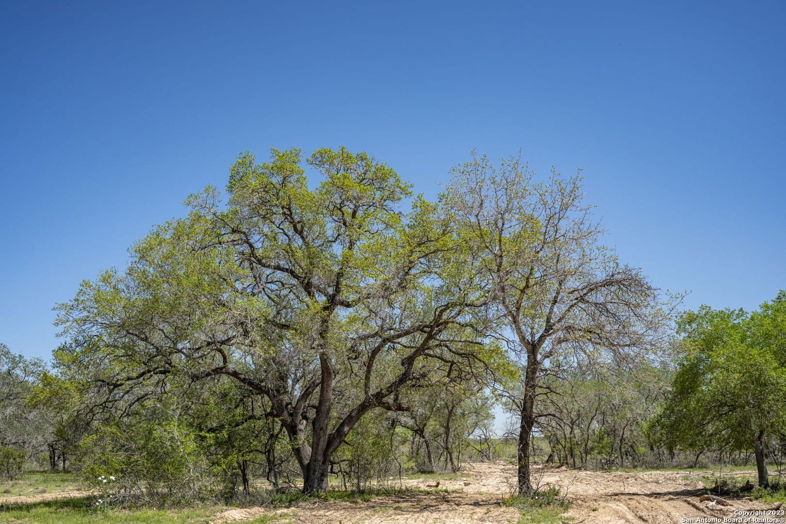 11.01 acres in Medina County - photo 3