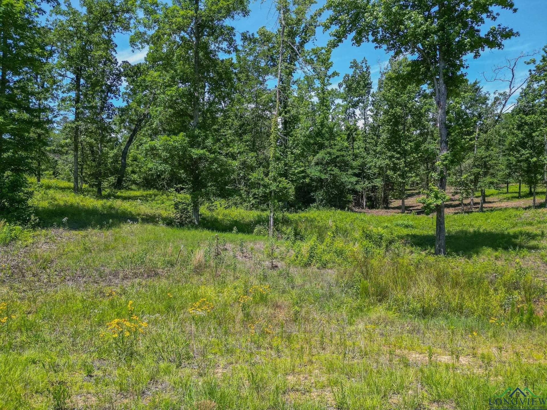 2.02 acres in Harrison County - photo 6
