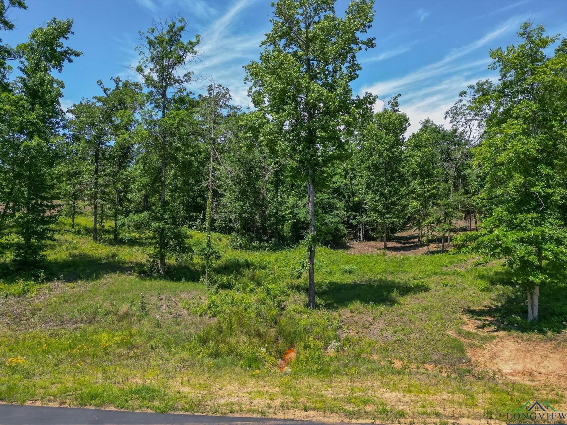2.02 acres in Harrison County - photo 5