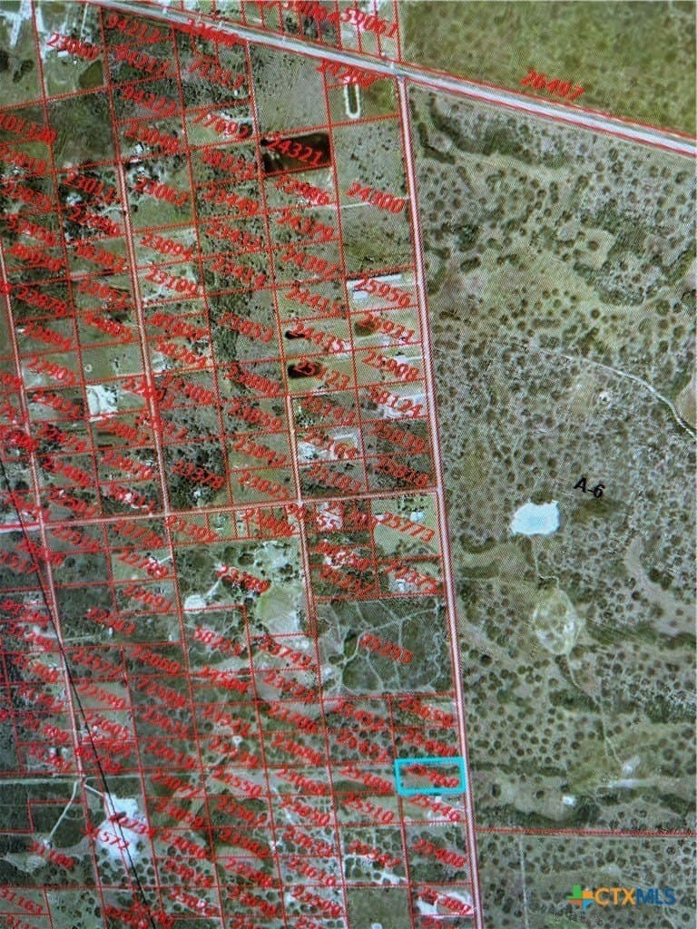 5 acres in Calhoun County - photo 13