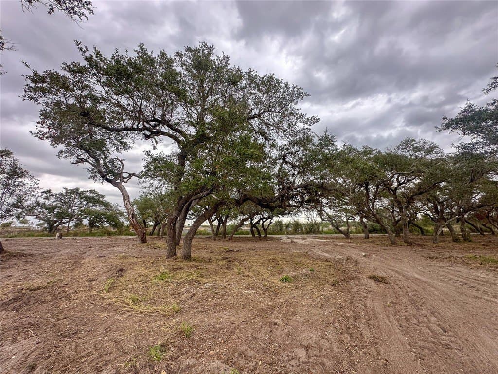 7.75 acres in Aransas County - photo 11