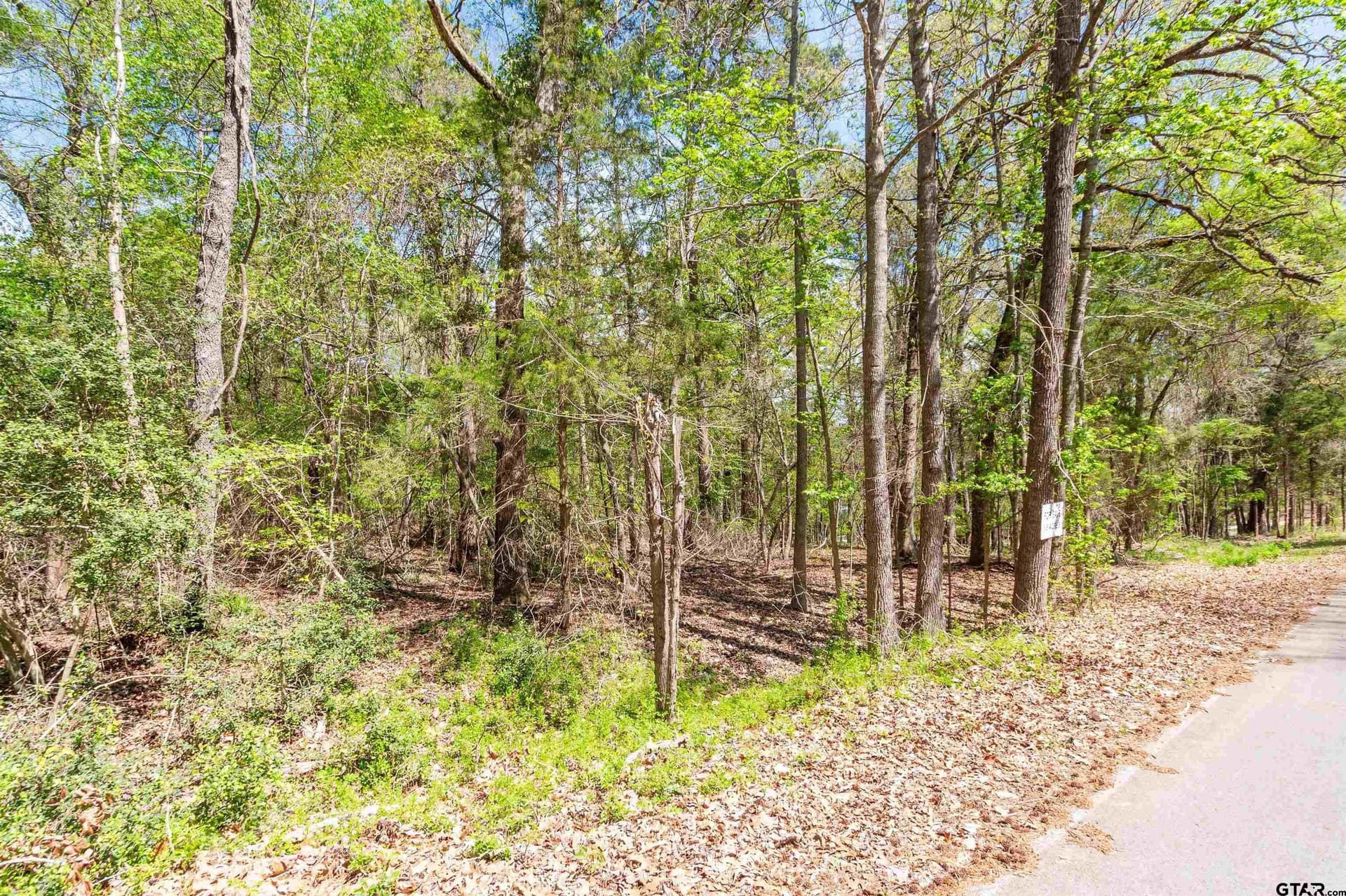 1.5 acres in Smith County - photo 4