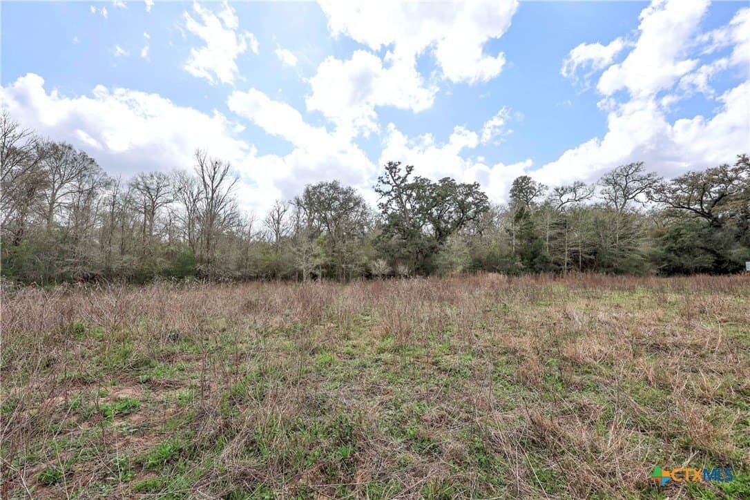 57 acres in Lavaca County - photo 4