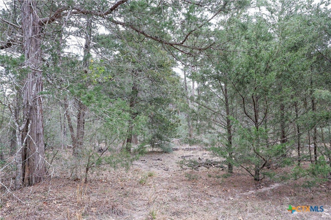 57 acres in Lavaca County - photo 16