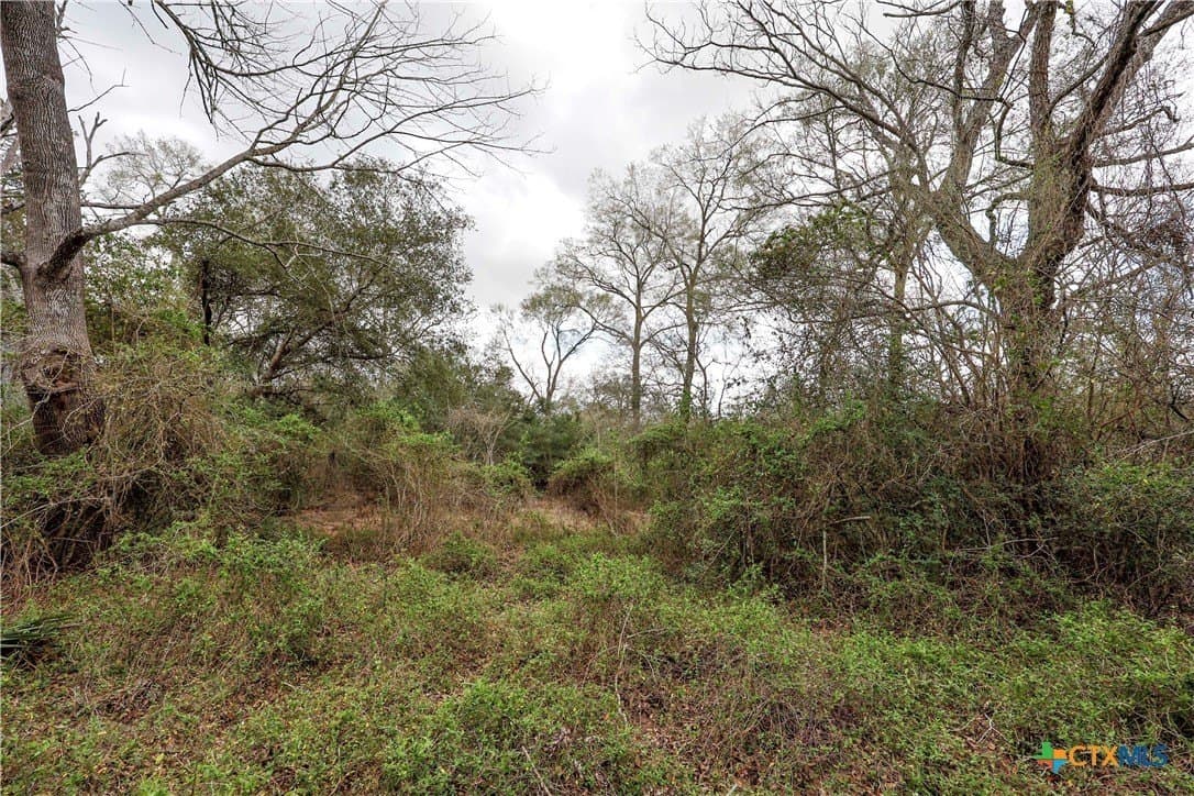 57 acres in Lavaca County - photo 14