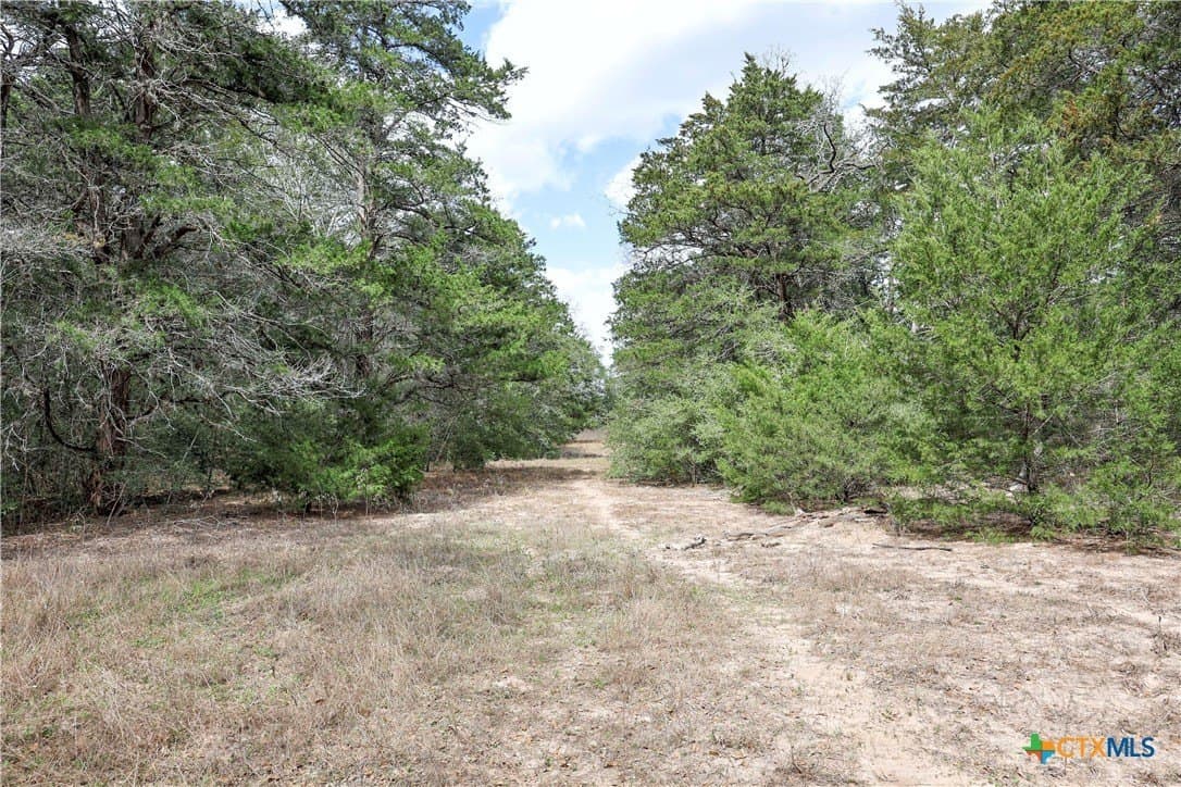 57 acres in Lavaca County - photo 11