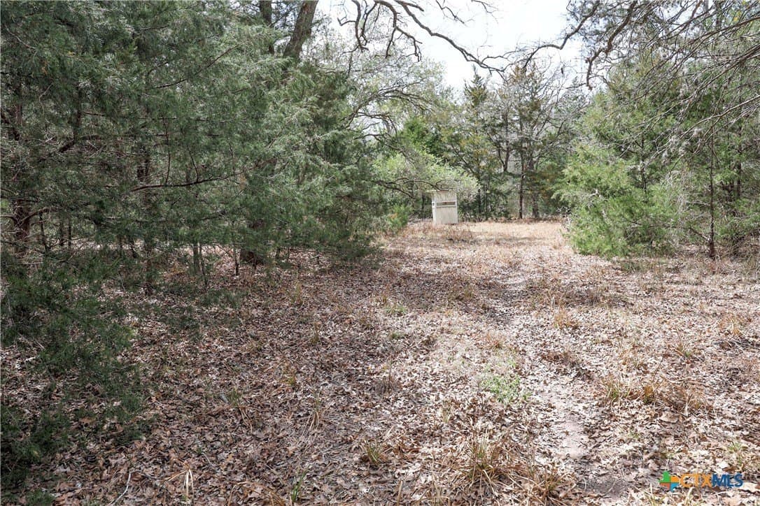 57 acres in Lavaca County - photo 2