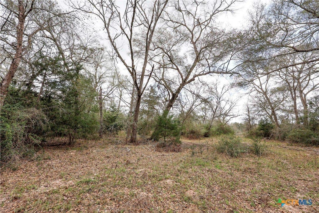 57 acres in Lavaca County - photo 5