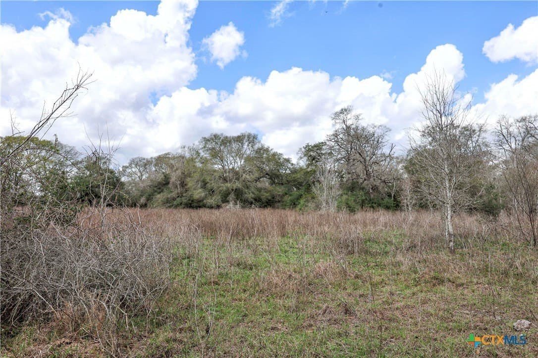 57 acres in Lavaca County - photo 10