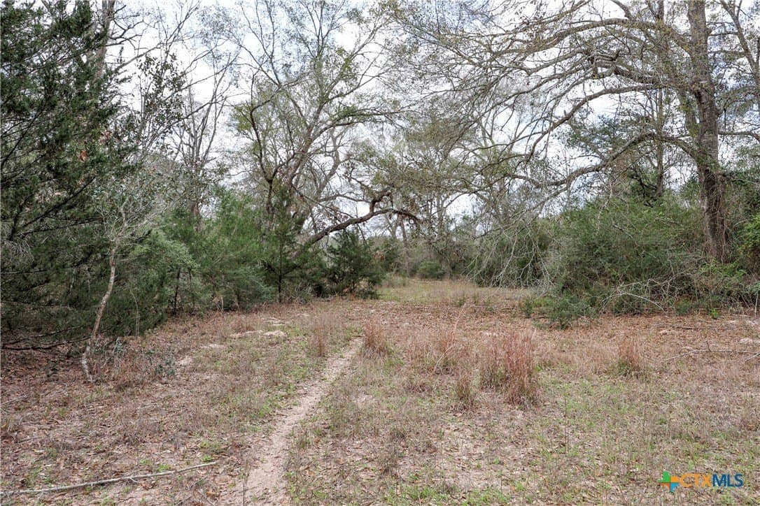 57 acres in Lavaca County - photo 3