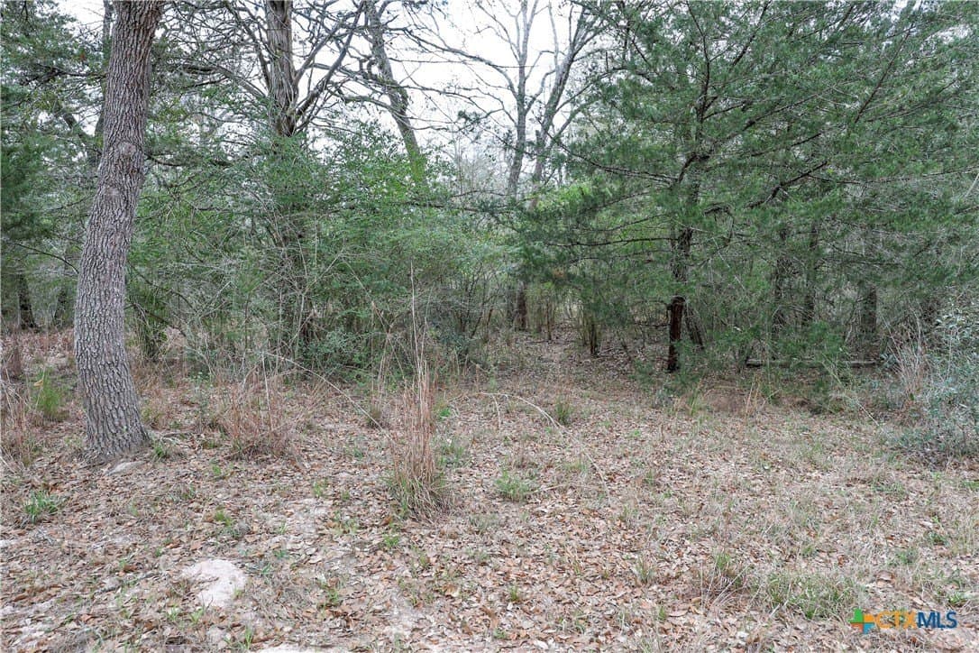 57 acres in Lavaca County - photo 12