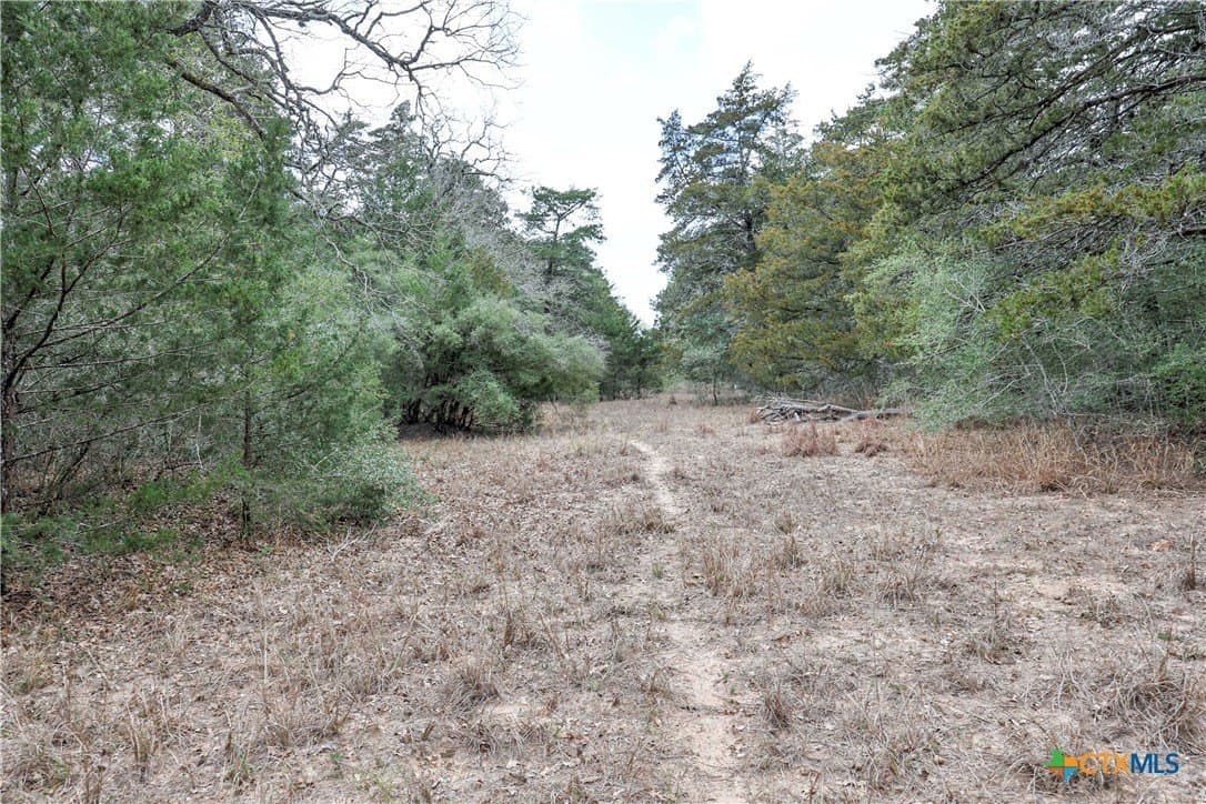 57 acres in Lavaca County - photo 15