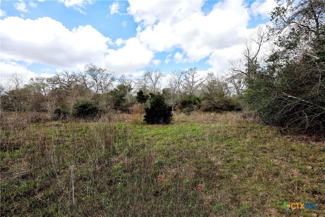 57 acres in Lavaca County - photo 13