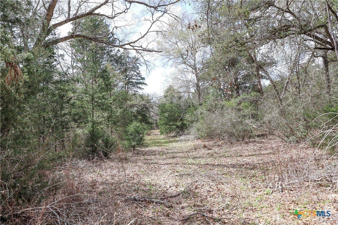 57 acres in Lavaca County - photo 6