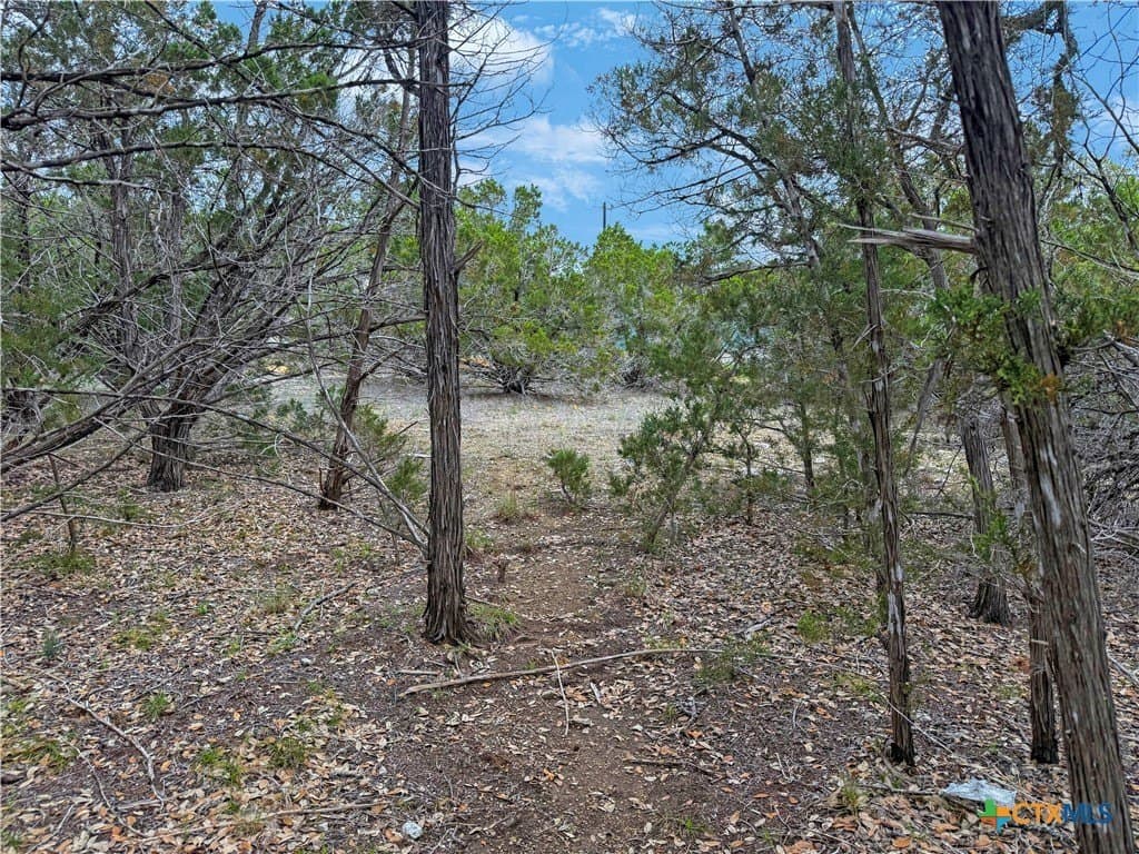 0.16 acres in Comal County - photo 3