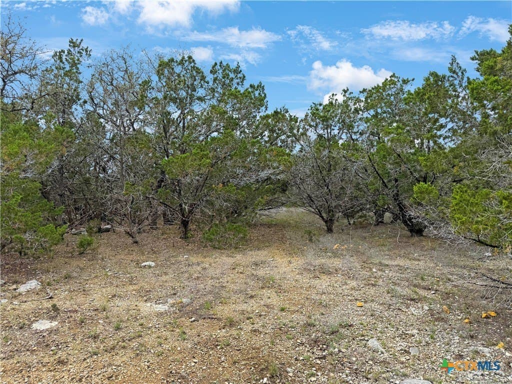0.16 acres in Comal County - photo 7