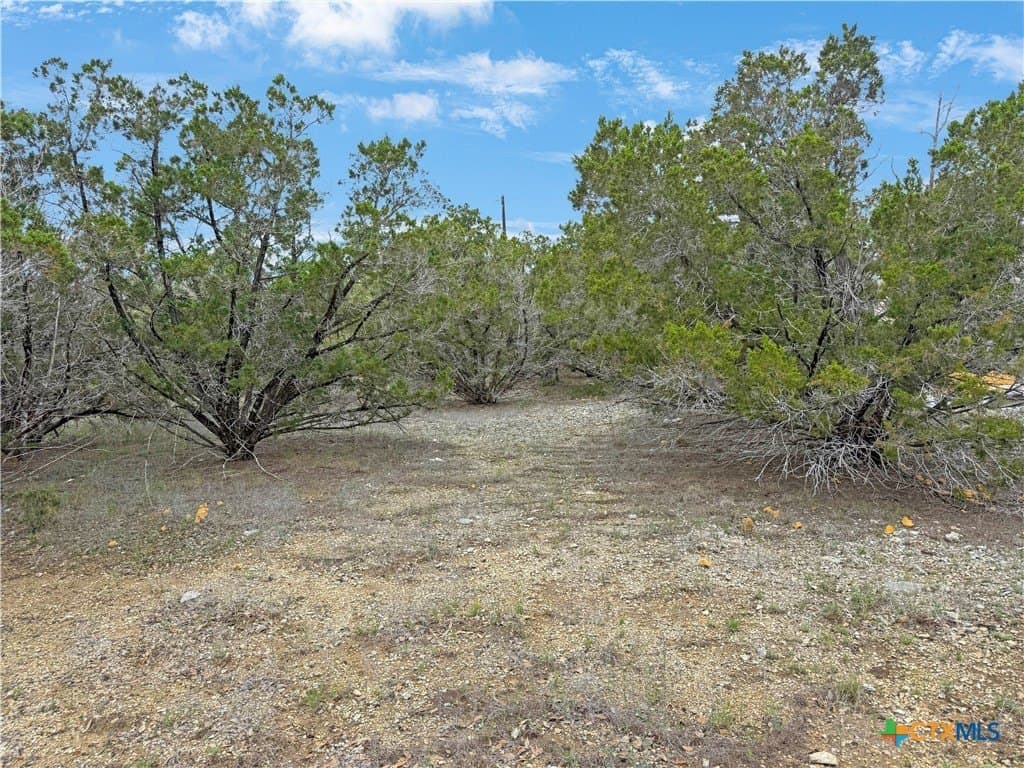 0.16 acres in Comal County - photo 5