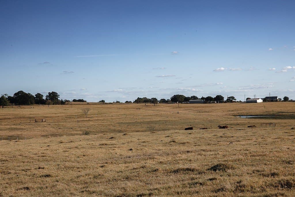 42.05 acres in Washington County - photo 12