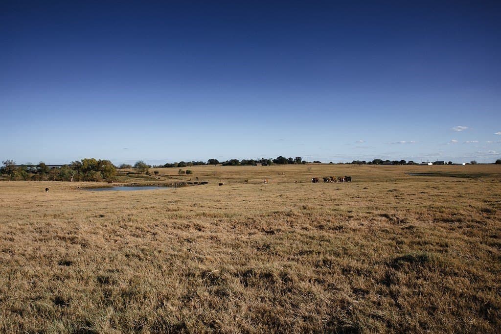 42.05 acres in Washington County - photo 4