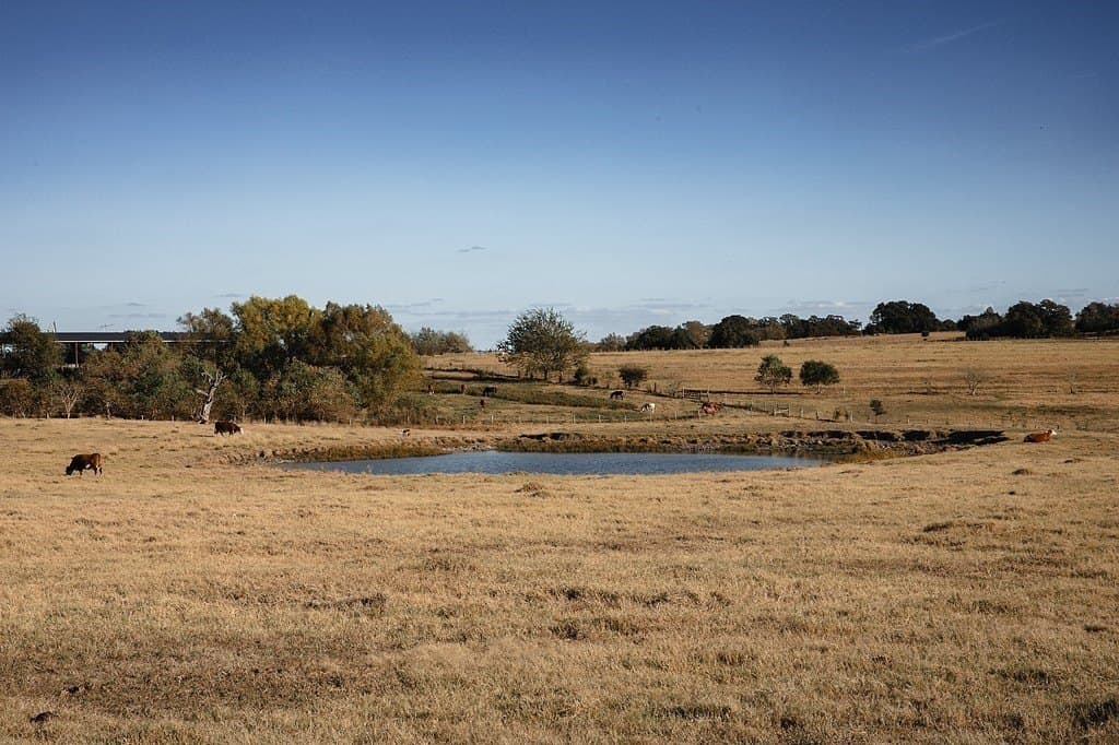 42.05 acres in Washington County - photo 13