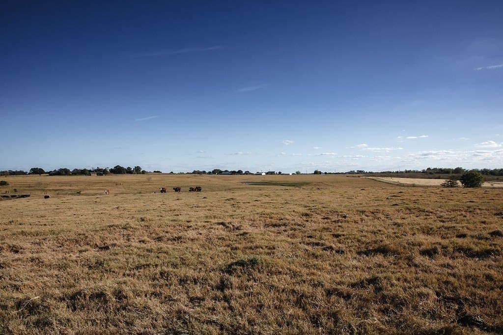 42.05 acres in Washington County - photo 5