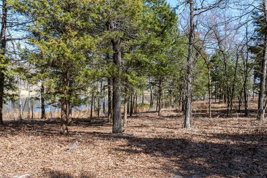 1.38 acres in Henderson County - photo 17