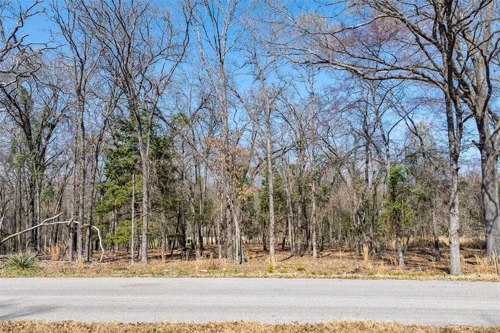 1.38 acres in Henderson County - photo 16
