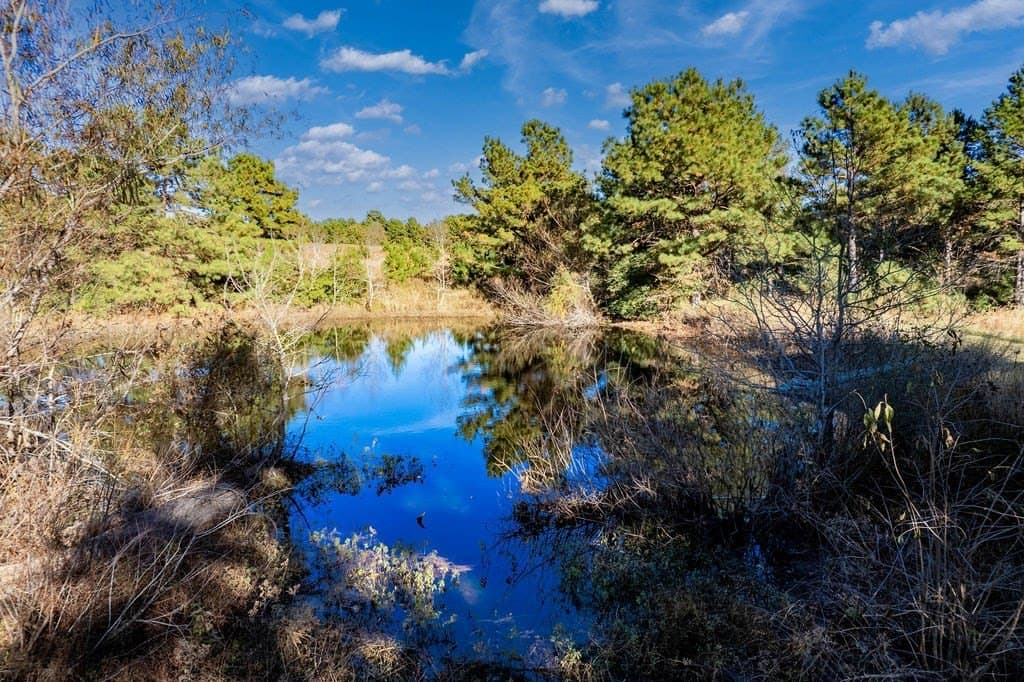 20 acres in ANDERSON County - photo 5