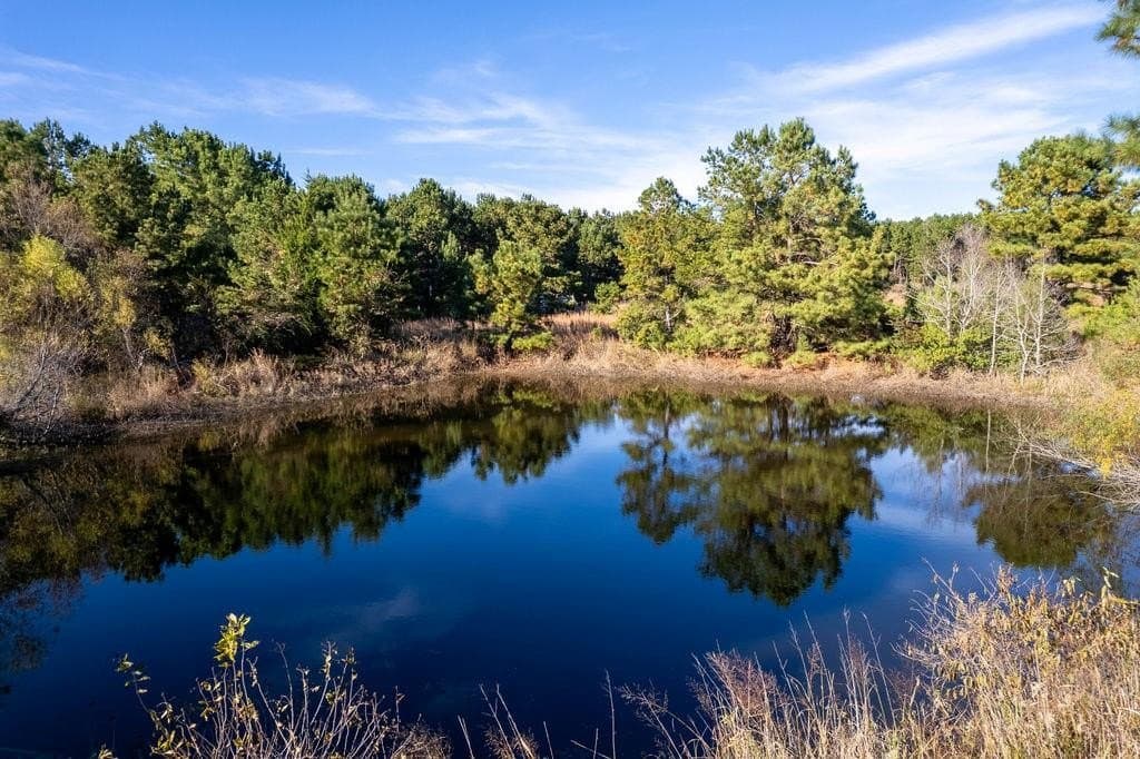 20 acres in ANDERSON County - photo 8