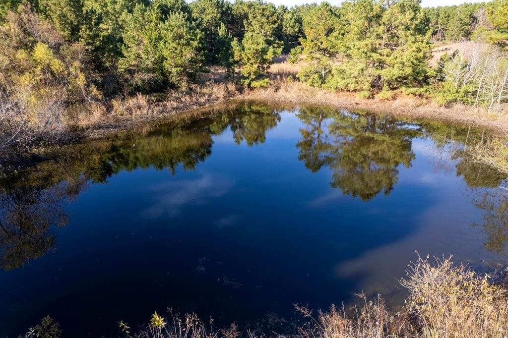 20 acres in ANDERSON County - photo 7
