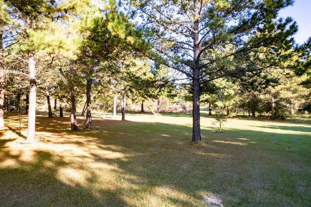 20 acres in ANDERSON County - photo 10