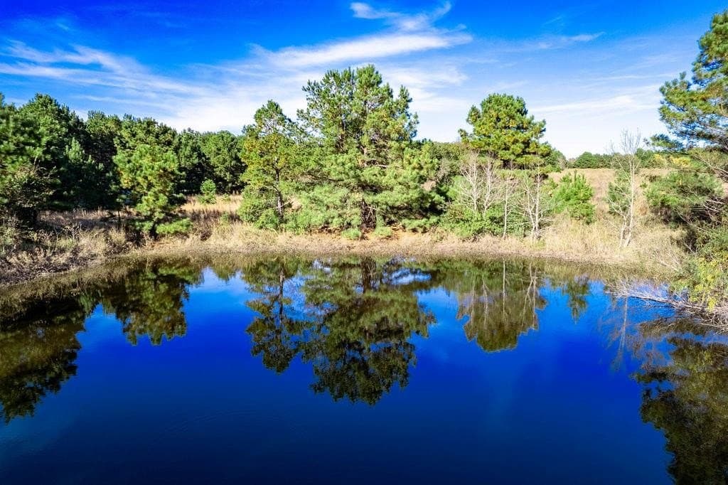 20 acres in ANDERSON County - photo 9