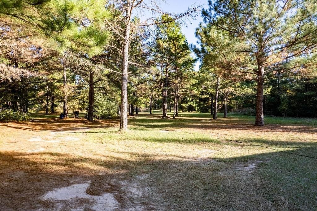 20 acres in ANDERSON County - photo 6